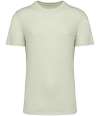 NS314IC Native Spirit Unisex Crew Neck IC T-Shirt Celadon Green colour image
